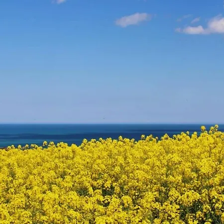 Casa Di Adele Con Giardino Privato A 150 Mt Dal Mare Holiday home