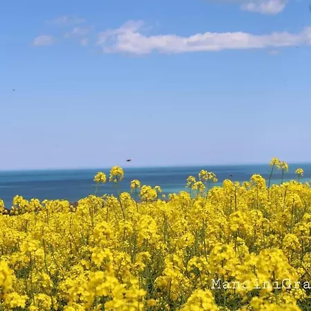 Casa Di Adele Con Giardino Privato A 150 Mt Dal Mare Holiday home