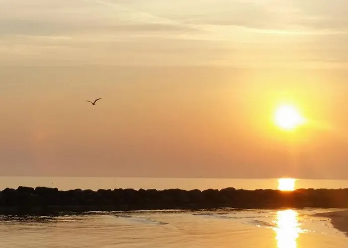 Ferienhaus Casa Di Adele Con Giardino Privato A 150 Mt Dal Mare